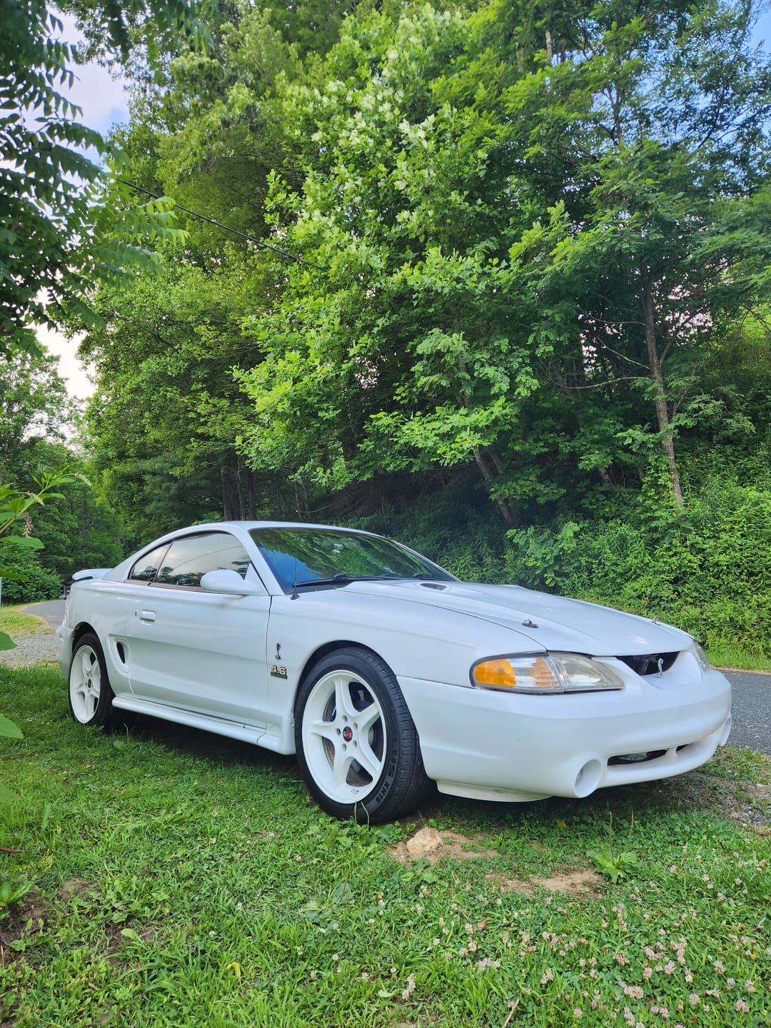 Customer photo review of Limlex® Platinum Car Care Set