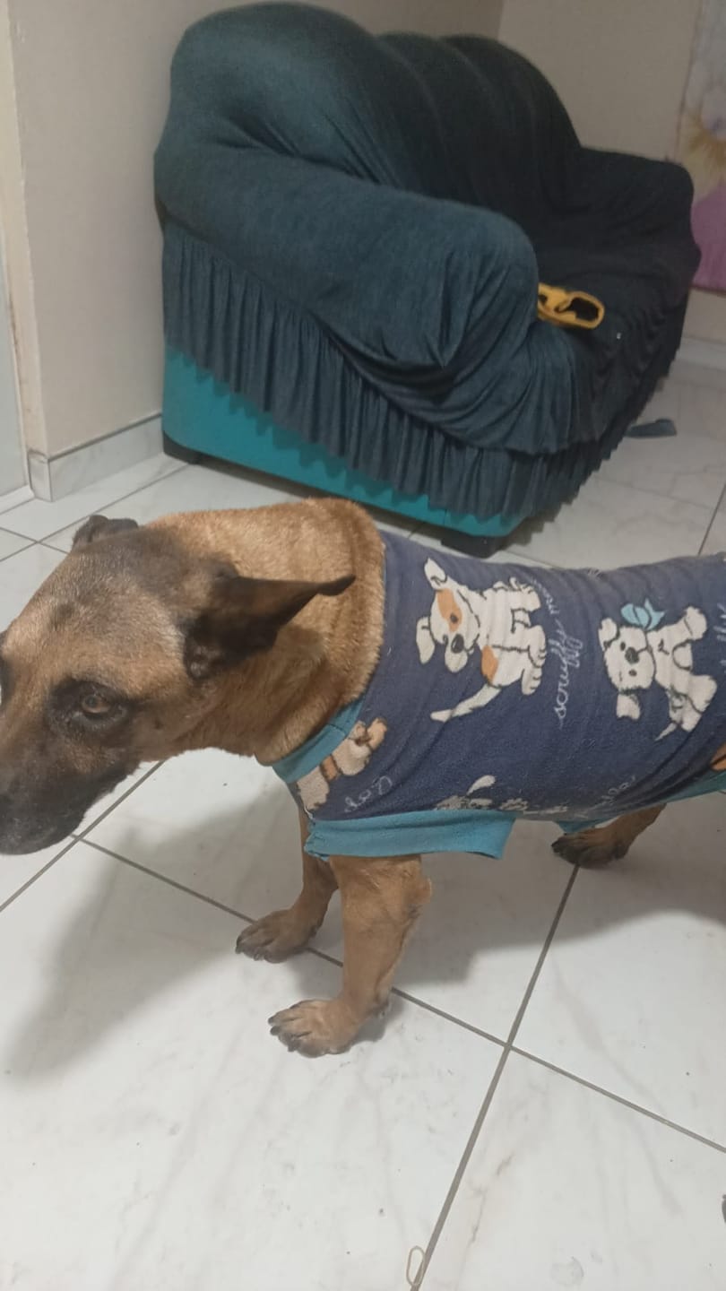 Customer photo review of Crea Tu Kit: Elige 2 Suplementos Para Perro y Gato