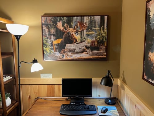 Customer photo review of Office Moose Reading Newspaper Framed Canvas Wall Art