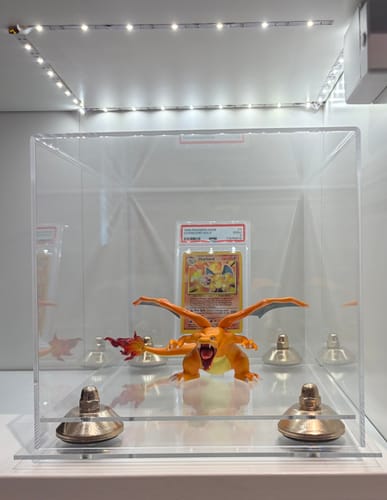 Customer photo review of Acrylic Versatile Display Case 12 X 8.25 X 8 - Clear (A004/V41)