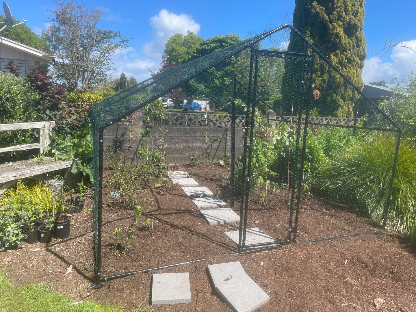 Customer photo review of Walk-In Chicken Coop Run with UV Cover - 300x400x200cm