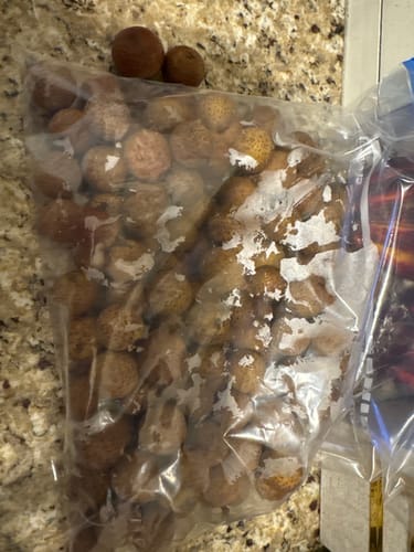 Customer photo review of Longan