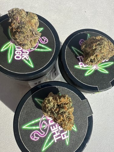Customer photo review of The Dankster Sample Pack