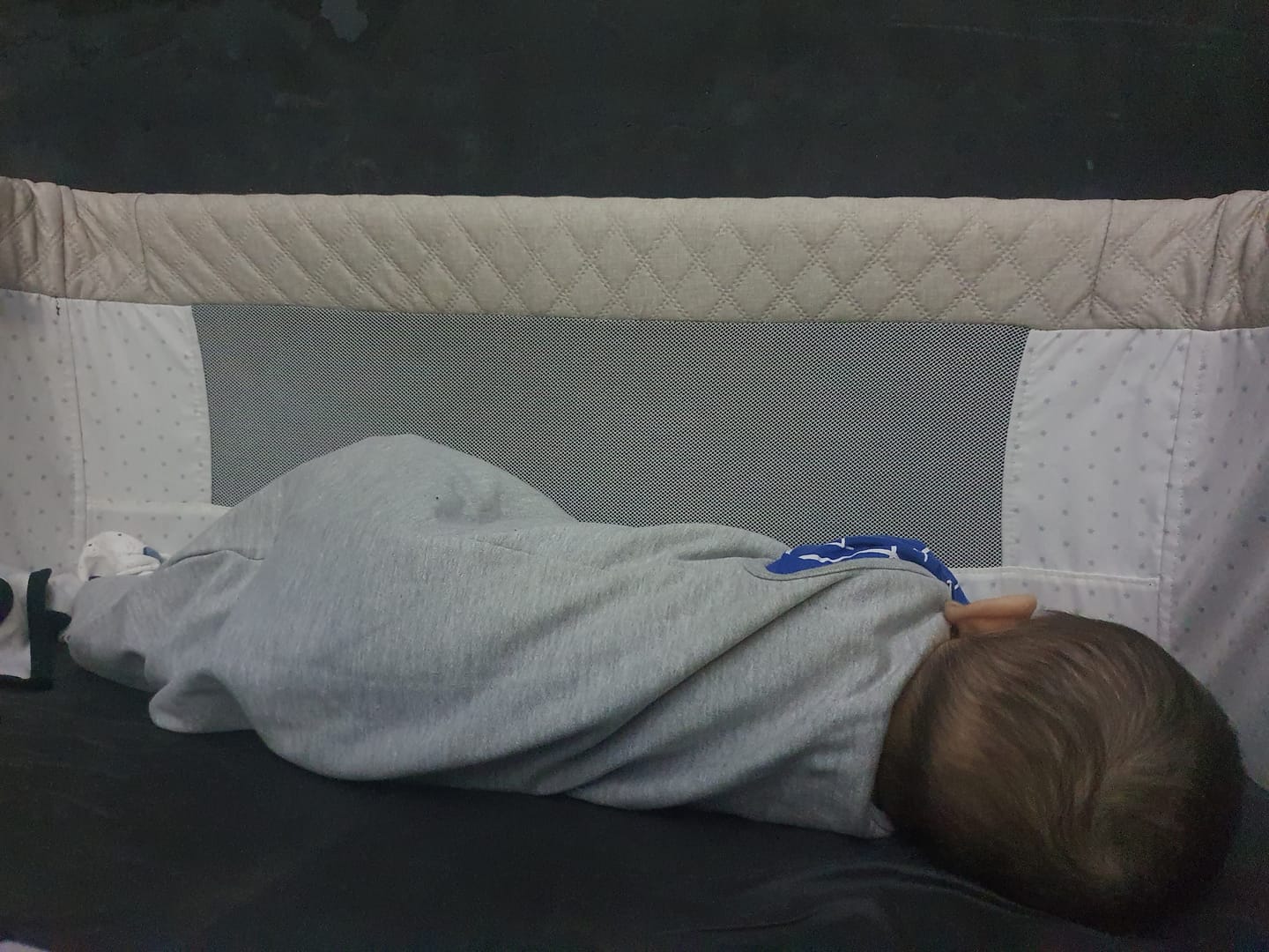 Customer photo review of Sleeping Sack (winter edition)