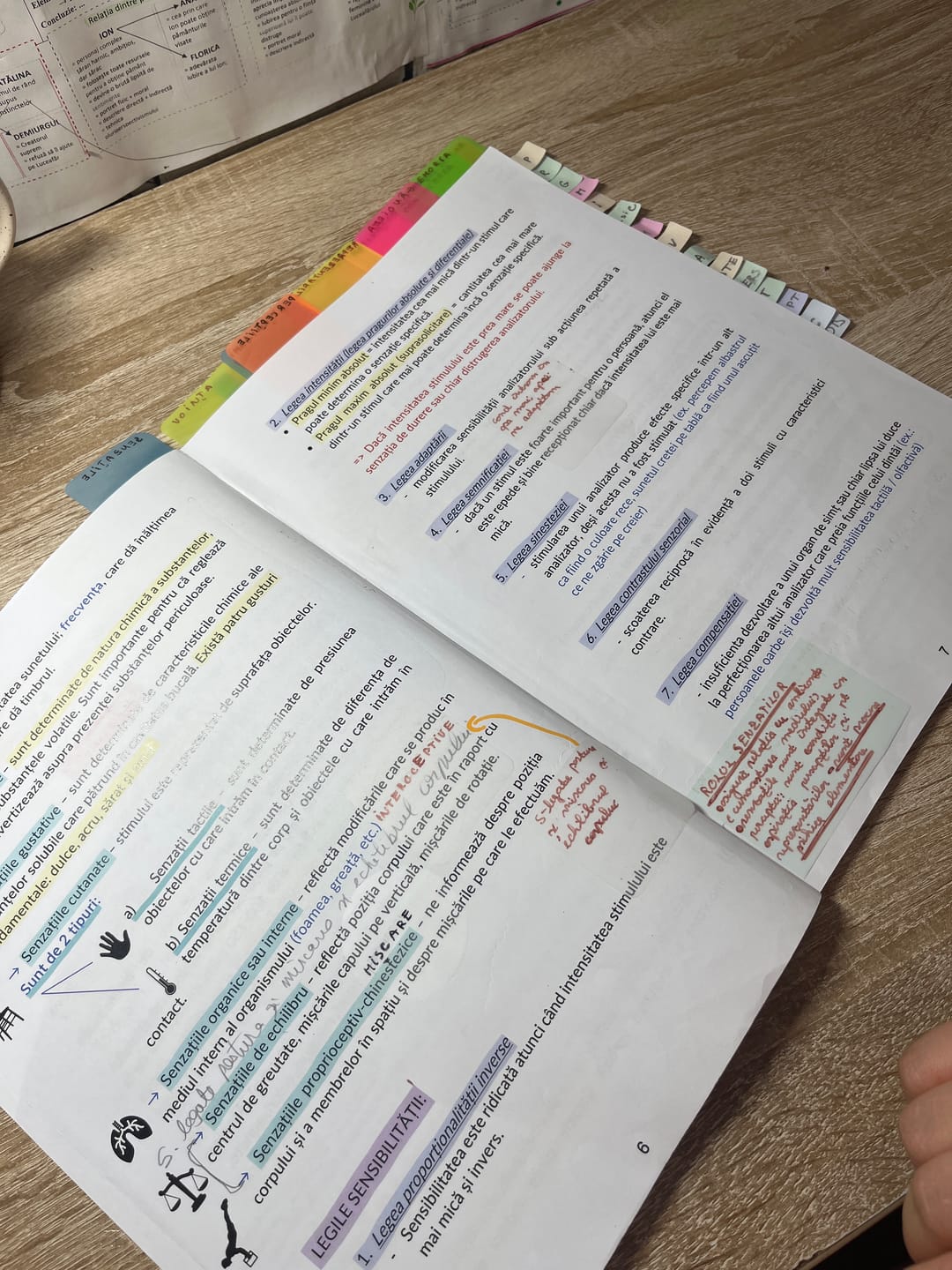 Customer photo review of Carte Psihologie Bacalaureat Bacademia