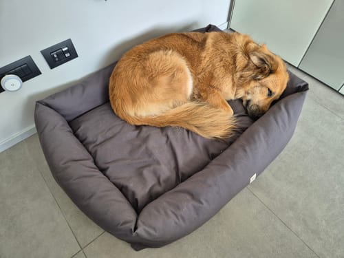 Customer photo review of Divanetto in Tessuto Dralon Grigio Elegance