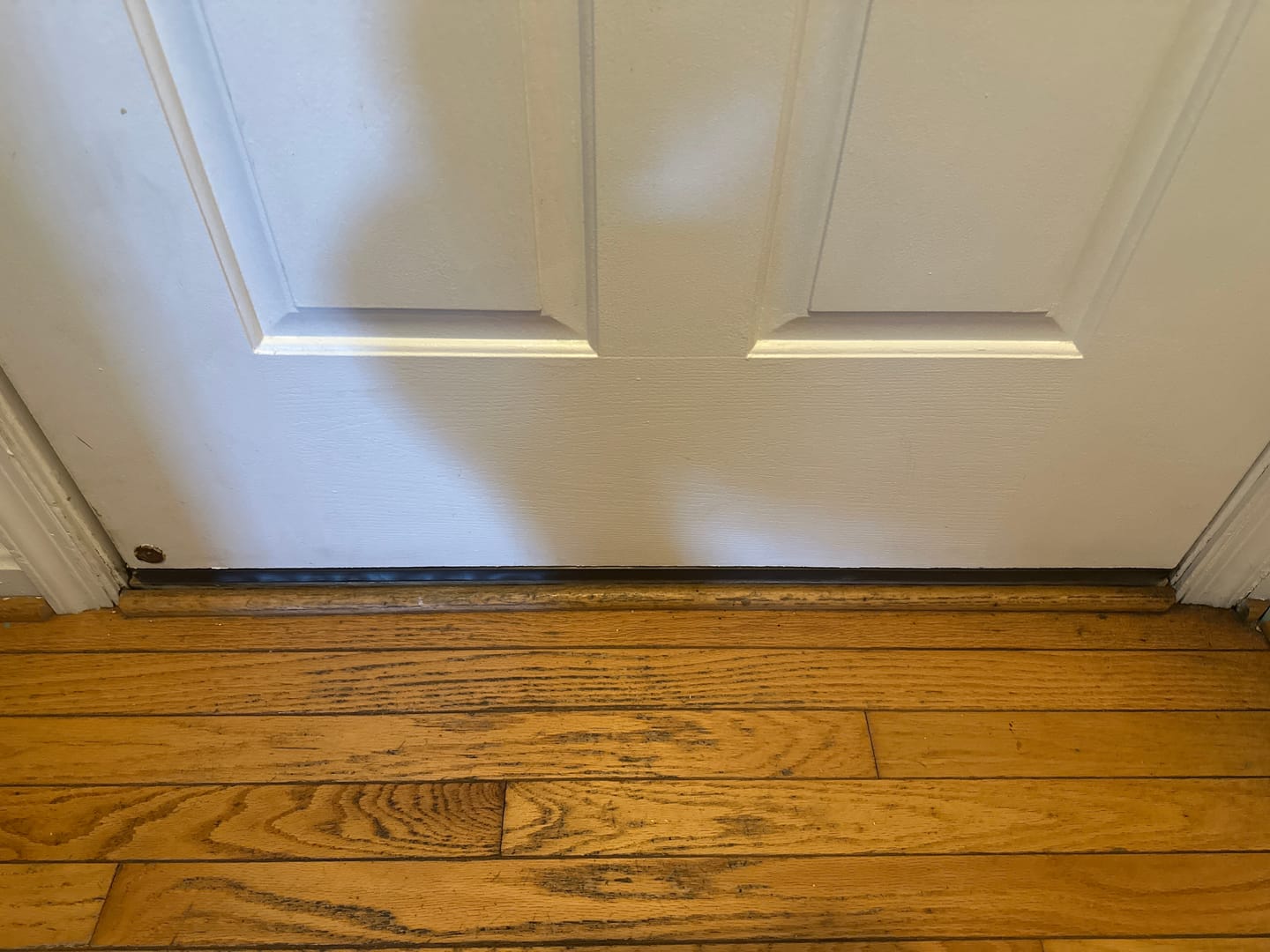 Customer photo review of Therma-Tru Drive-On Door Sweep