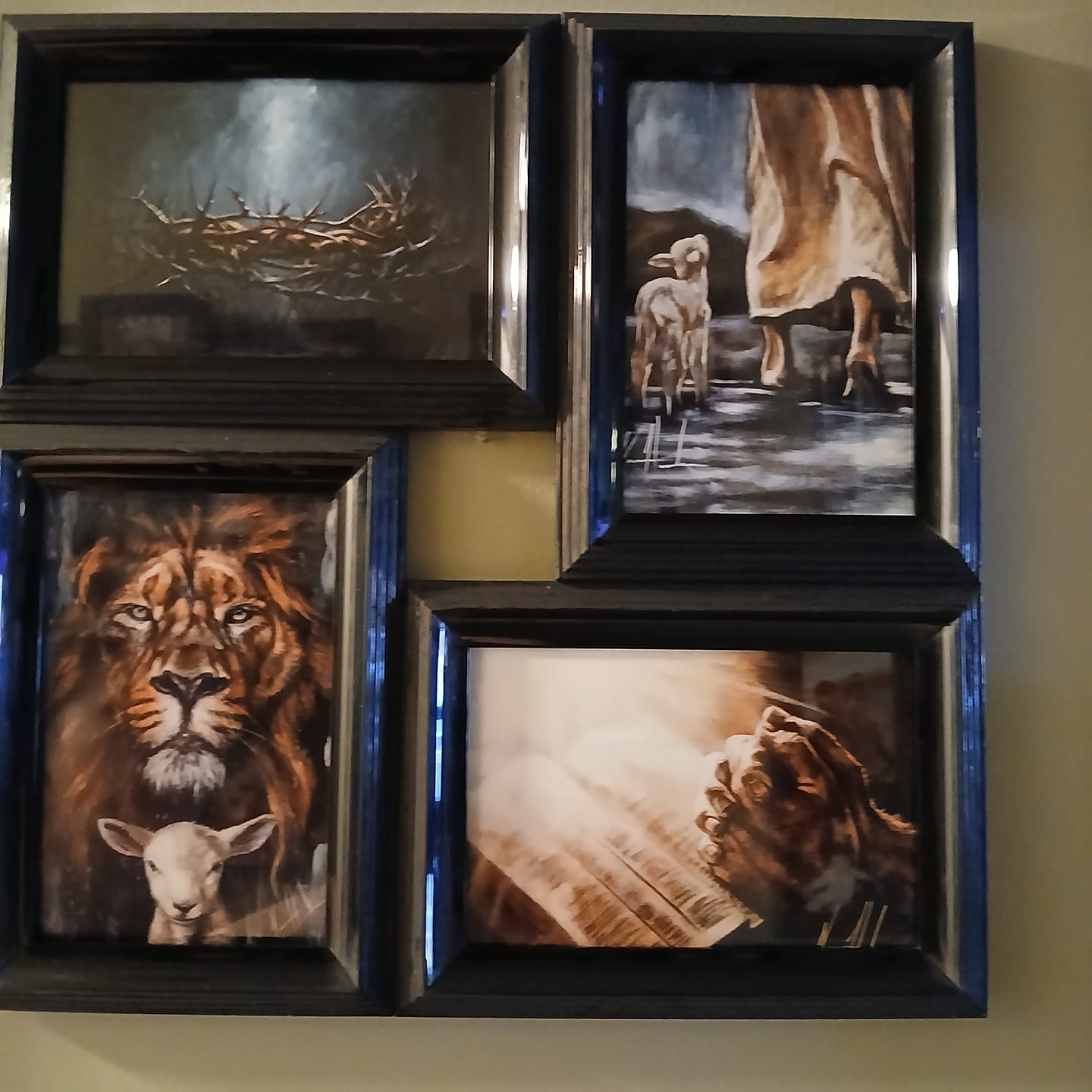Customer photo review of The Lion and Lamb Passover
