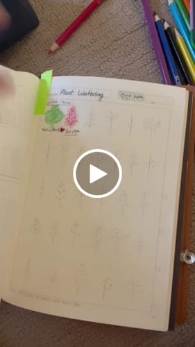 Customer video review of Rituals Friend