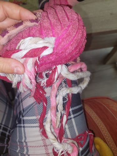 Customer photo review of Peluche flamand rose pour chien