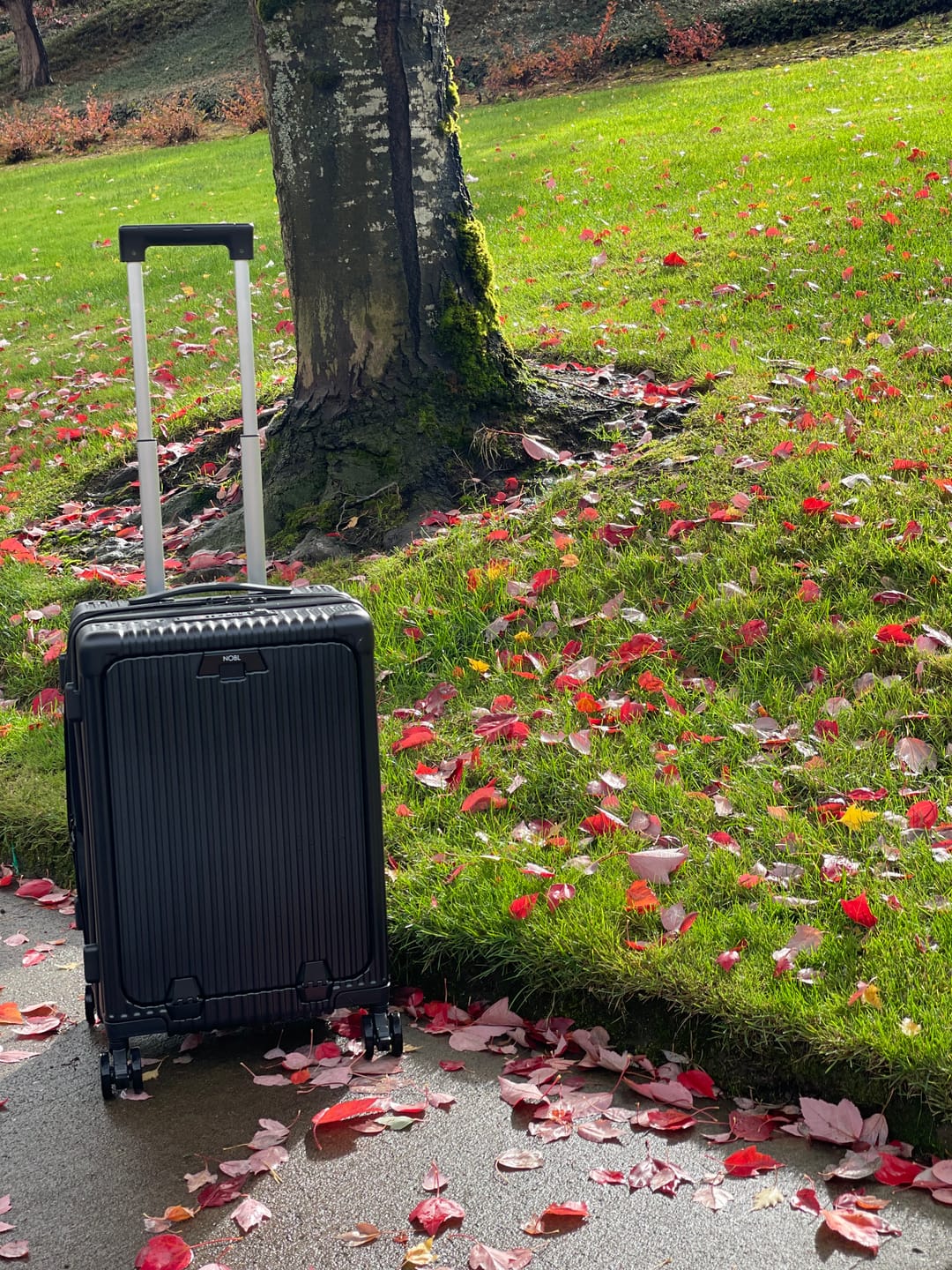 Customer photo review of Carry-On: All-in-One Expandable