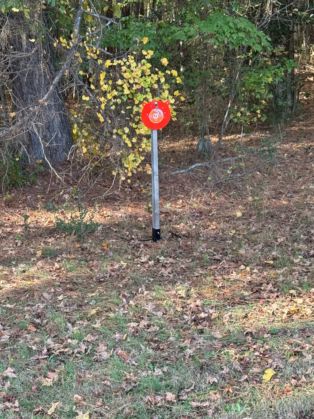 Customer photo review of Double T-Shaped 2X4 Target Stand Base