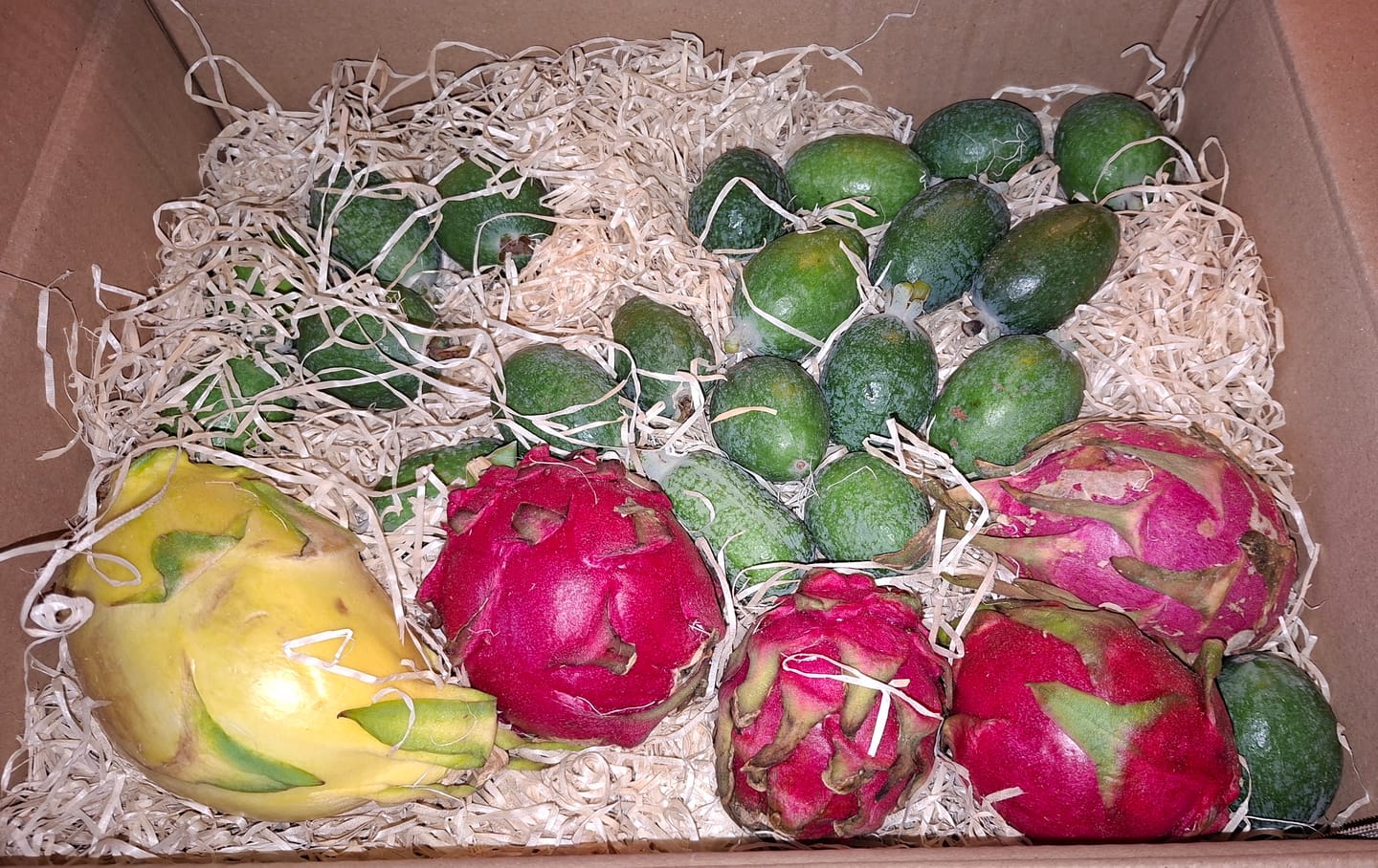 Customer photo review of Feijoa (brasilianische Guave) Bio