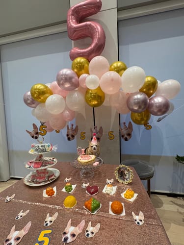 Customer photo review of Personalized Dog Party Pack
