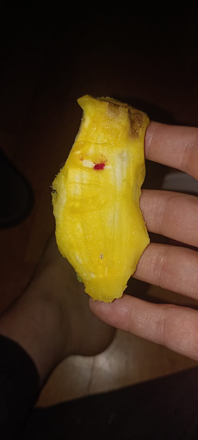 Customer photo review of Mango-Späternte Mix von Julian Sparpreis %