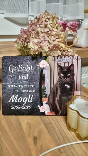 Customer photo review of Katzen Gedenktafel mit Foto & Spruch (UV- & Wetterfest)