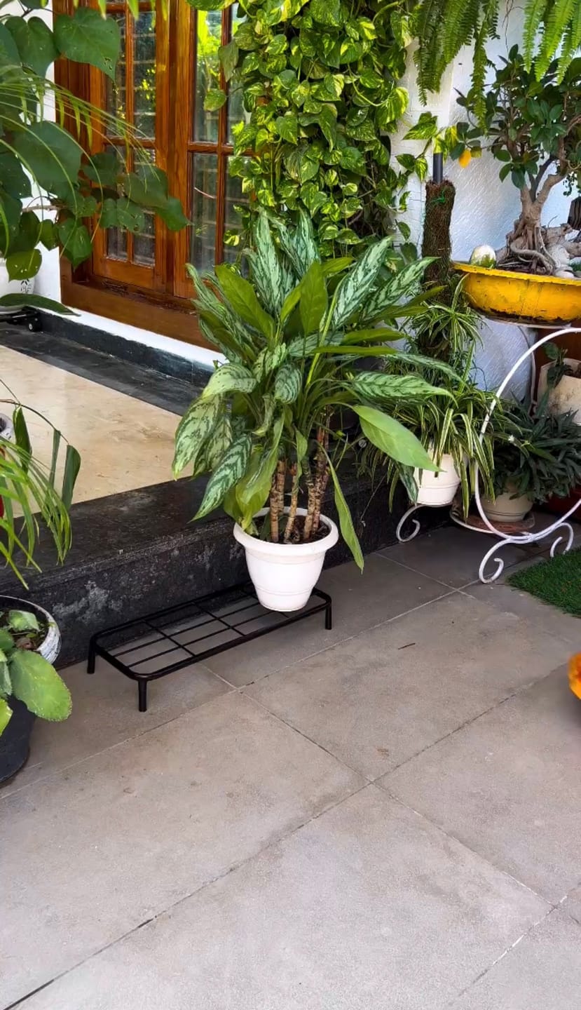 Customer photo review of TryGreen Rudo Metal Pot Stands for Planters