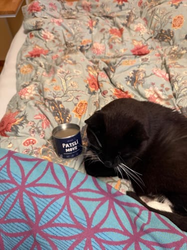 Customer photo review of Patsli Move