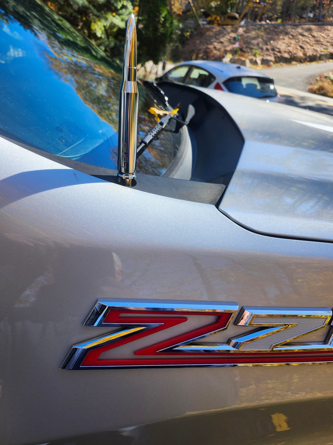 Customer photo review of Bullet Antenna