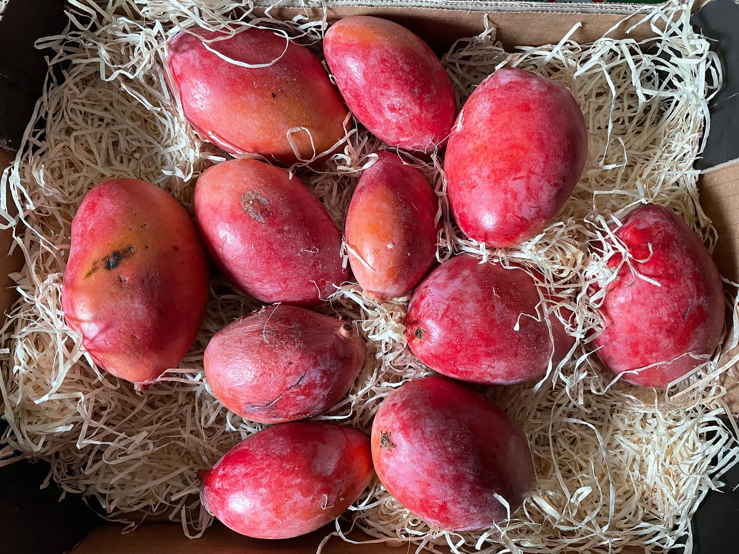 Customer photo review of Mini-Mango Osteen Bio Sonderpreis % 3kg