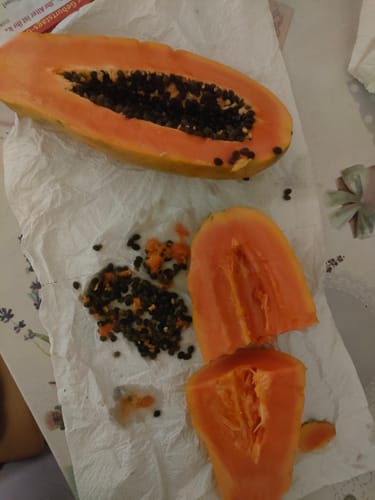 Customer photo review of Papaya Bio von Julian Wochenaktion %