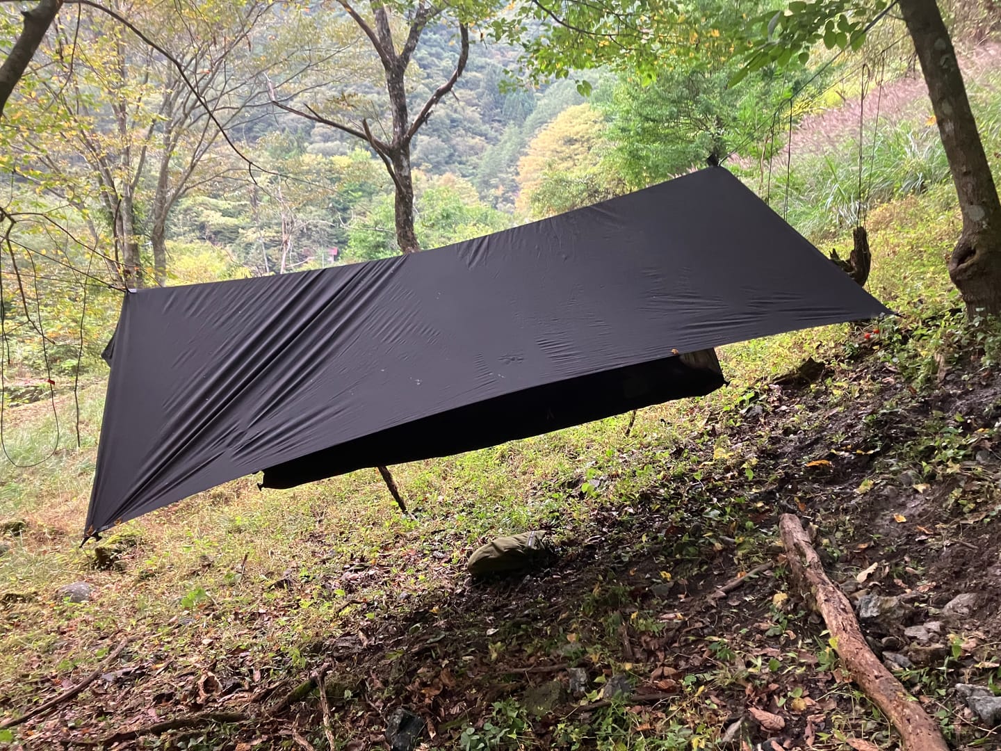Customer photo review of Haven Spectre