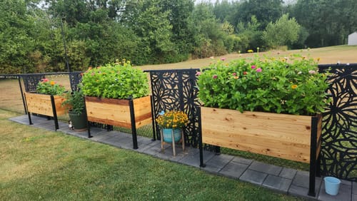 Customer photo review of 18" x 48" Raised Garden Bed - 30" TALL