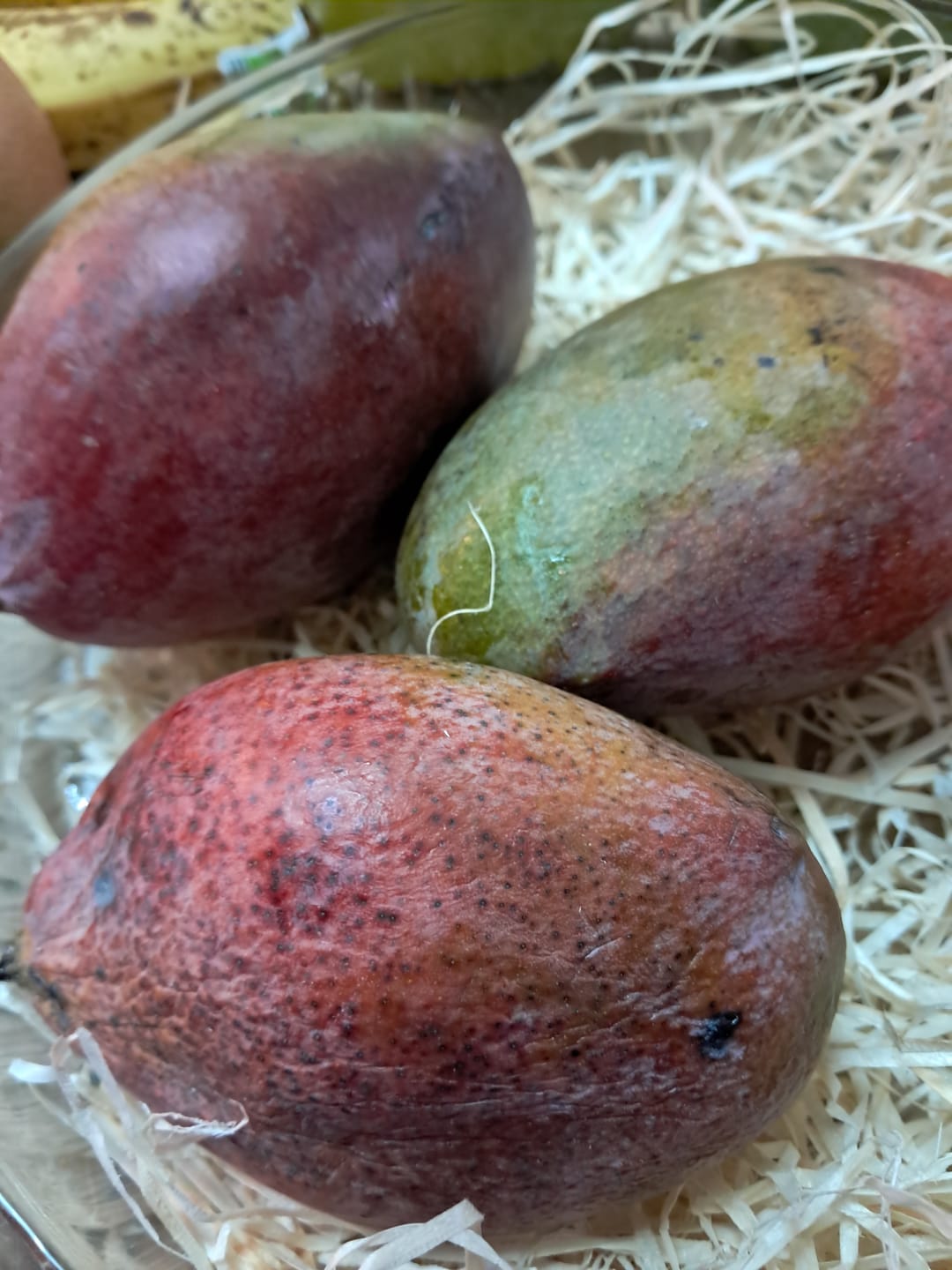 Customer photo review of Mini-Mango Osteen Bio Sonderpreis % 3kg