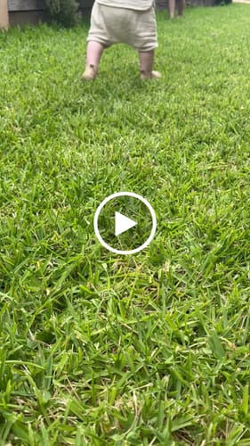 Customer video review of SOHLS® Slip-on Toddler Shoe – Sandstone Brown