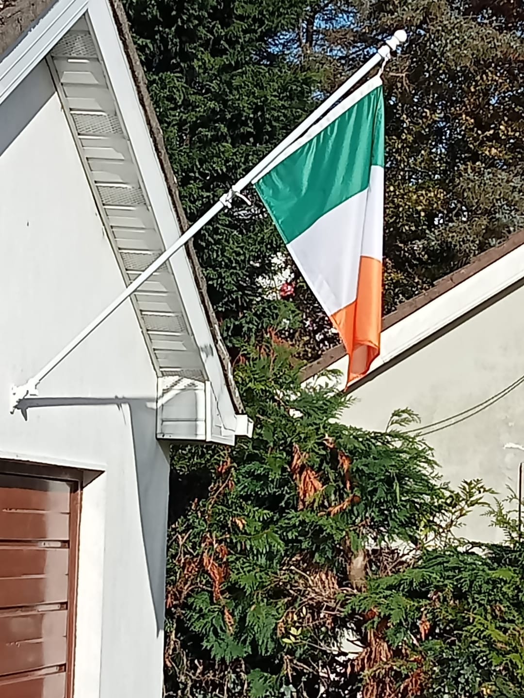 Customer photo review of Ireland National Flag