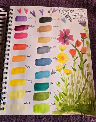 Customer photo review of SketchBox Signature Opaque Watercolor 18 colors