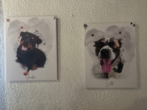 Customer photo review of Πορτραίτο Κατοικίδιου - Νερομπογιά