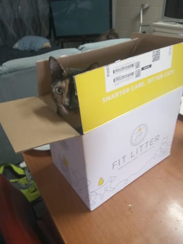 Customer photo review of Fit Litter