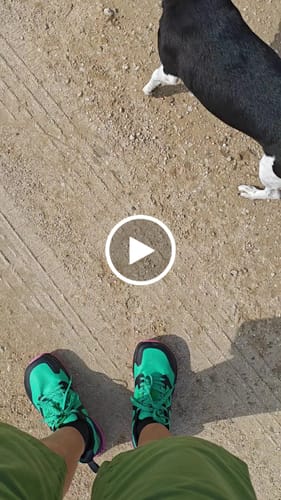 Customer video review of Aurora - Zapatos De Punta Ancha
