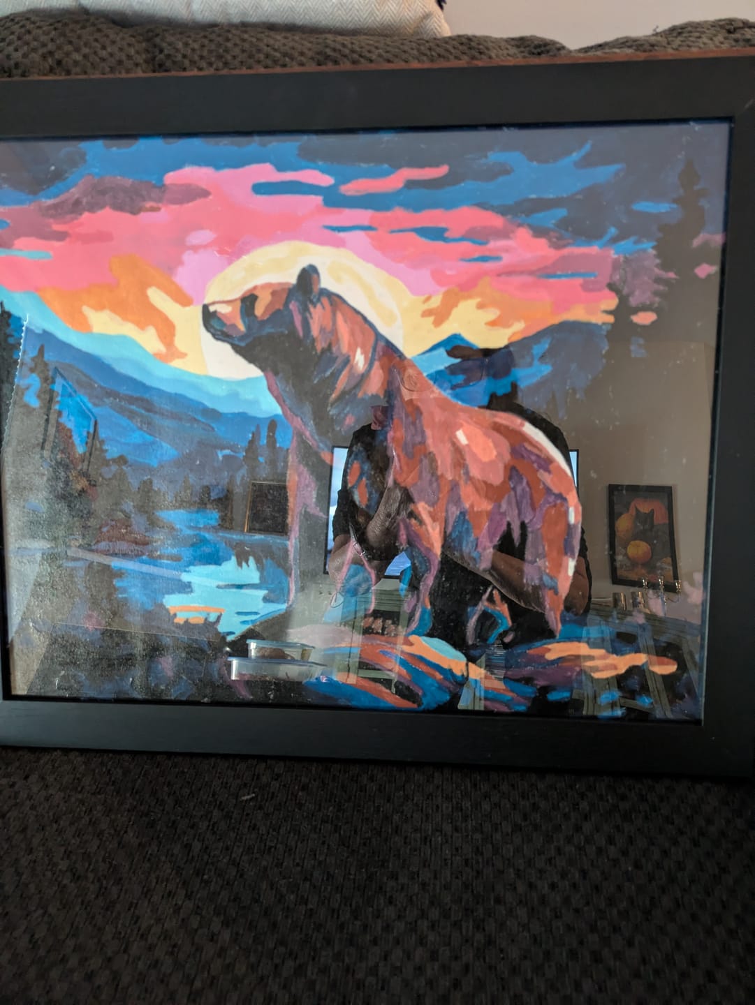 Customer photo review of Lunar Wilderness