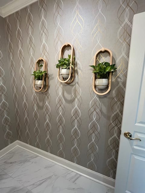 Customer photo review of Frame Wall Planter + Pot Duo
