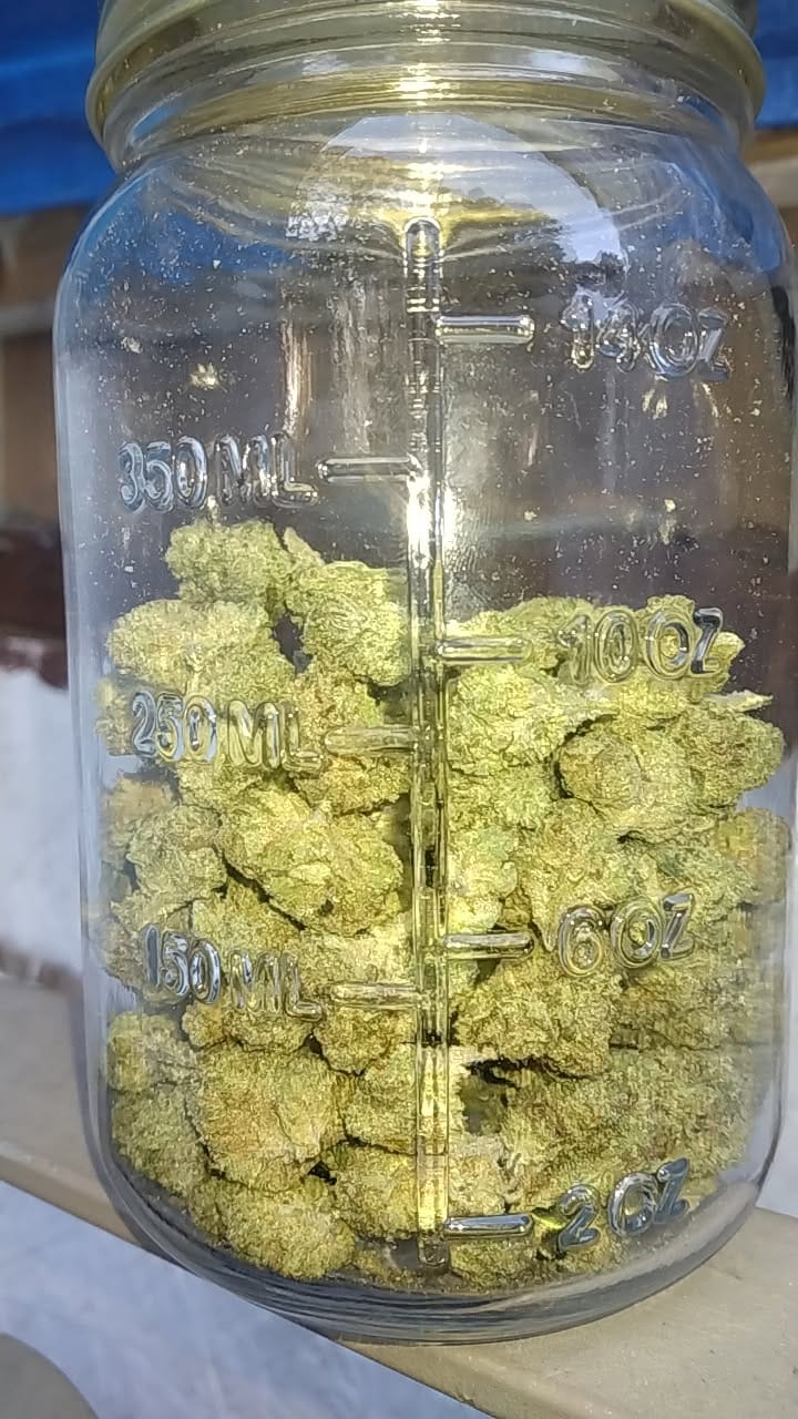 Customer photo review of THC Syrup - Grape