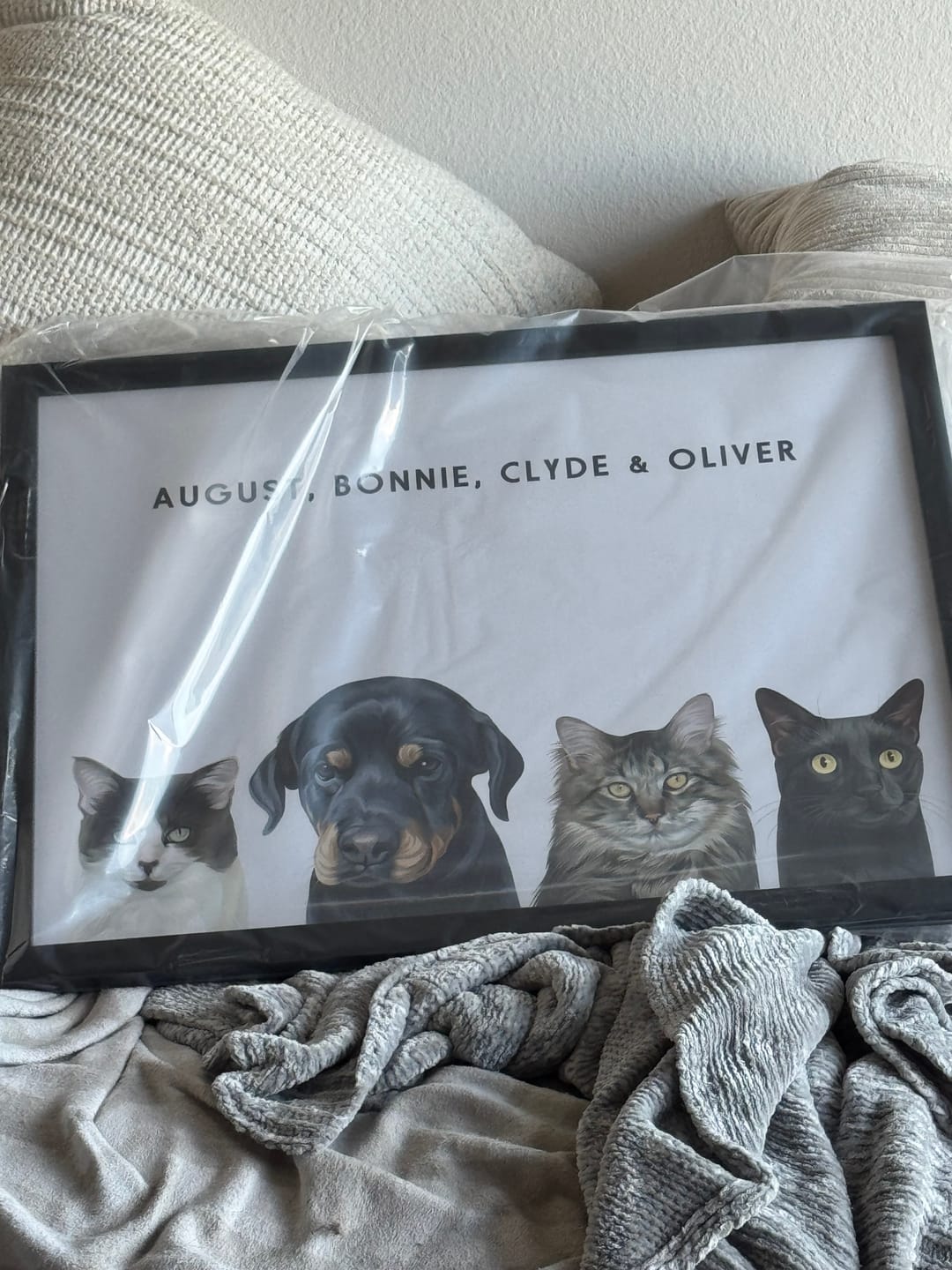 Customer photo review of Custom Four Pet Portrait