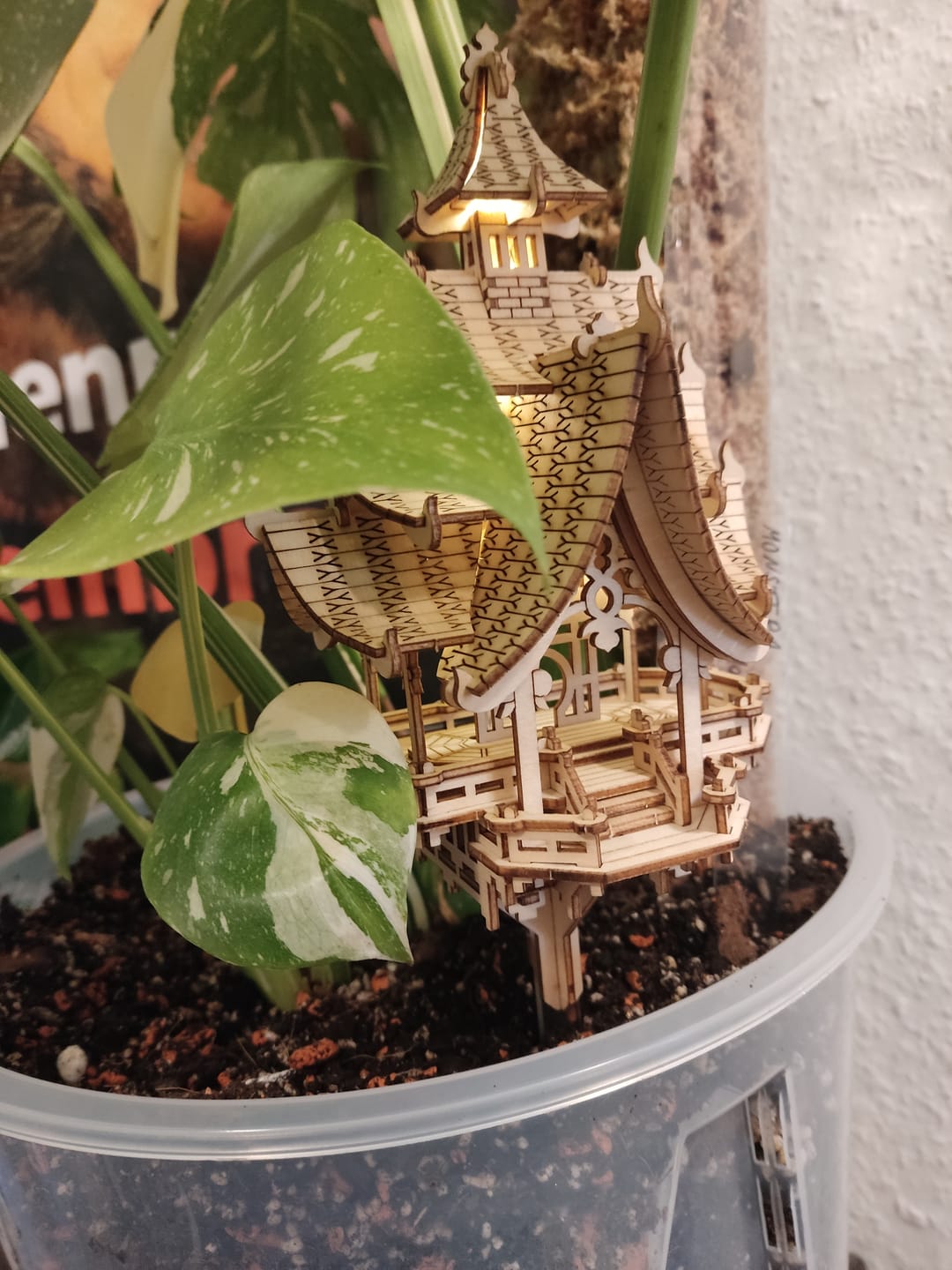 Customer photo review of Temple of Joy