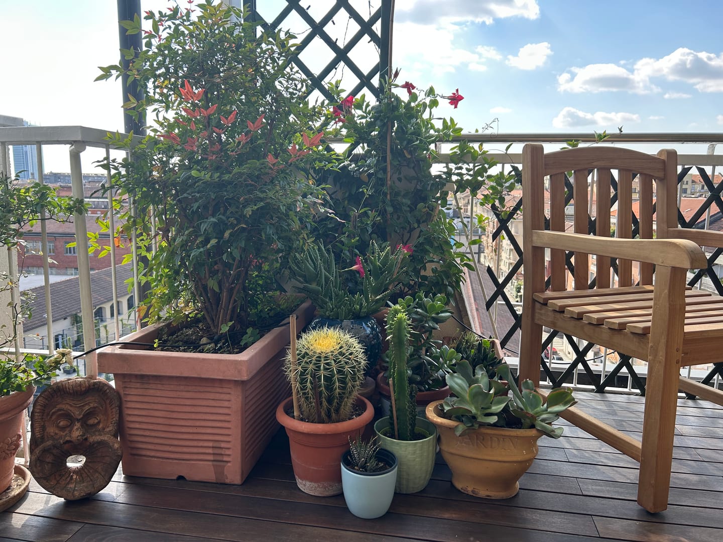 Customer photo review of 1 x Warwick Teak Hartholz Armlehnstuhl und Kissen.