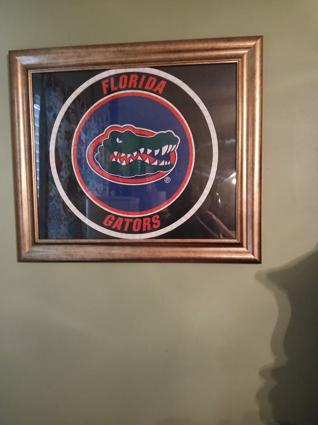 Customer photo review of University of Florida - Wooden Puzzle