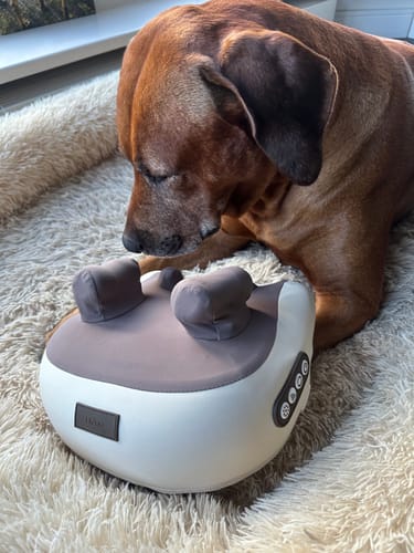 Customer photo review of HiZoo - Pillow Neck & Shoulder Massager