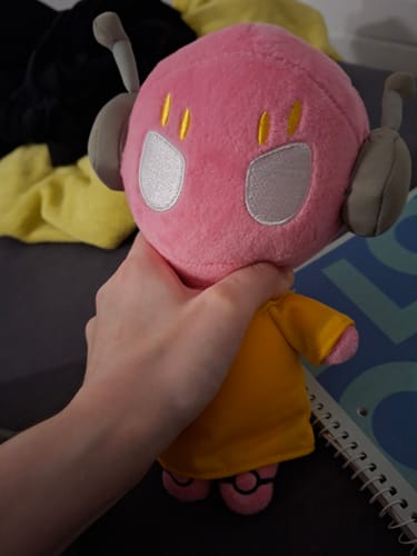 Customer photo review of Rain World - Five Pebbles Iterator Plush