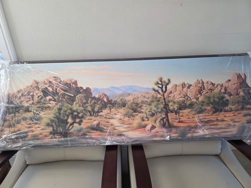 Customer photo review of Joshua Tree National Park Horizontal Canvas Wall Art
