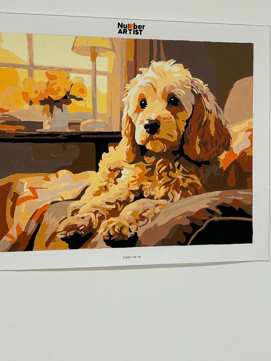 Customer photo review of Couch Cockapoo