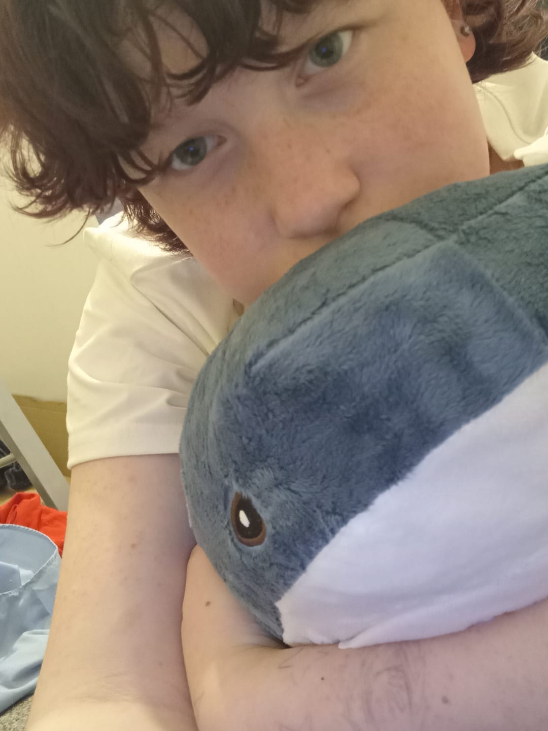 Customer photo review of Shork Plushie (4 SIZES)