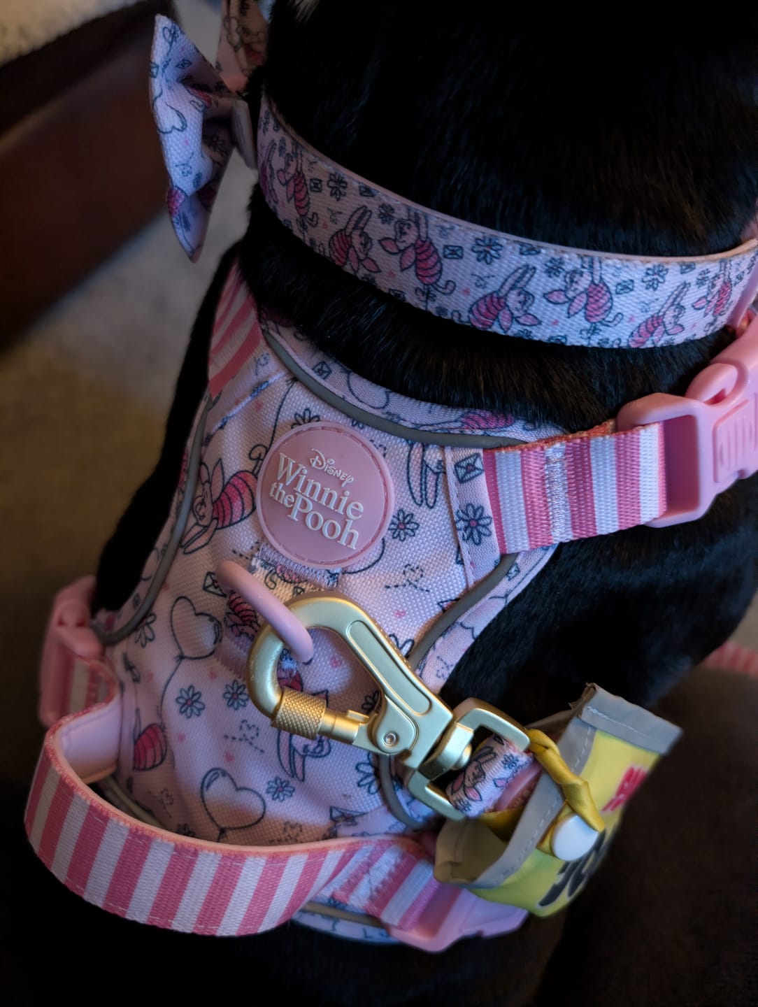 Customer photo review of Disney© Tough Trails™ Harness - Piglet