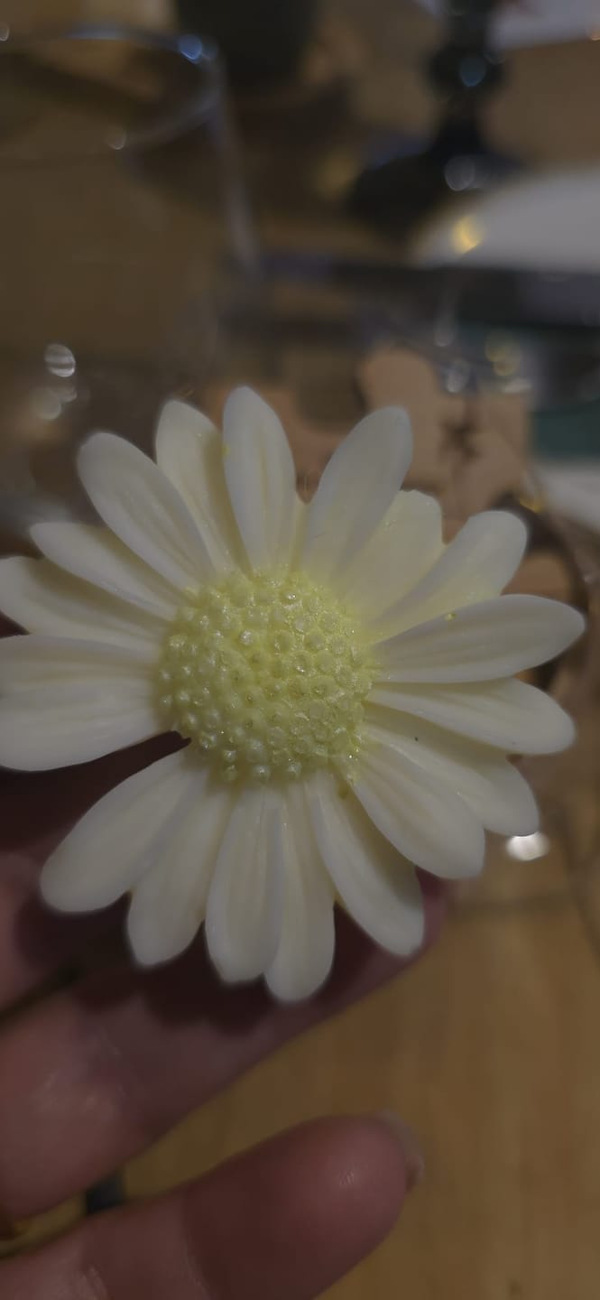 Customer photo review of Cera de Girasol para velas en Molde, Pilar y Wax-melts (APF)