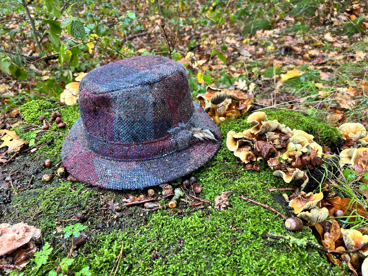 Customer photo review of Walking Hat Tweed