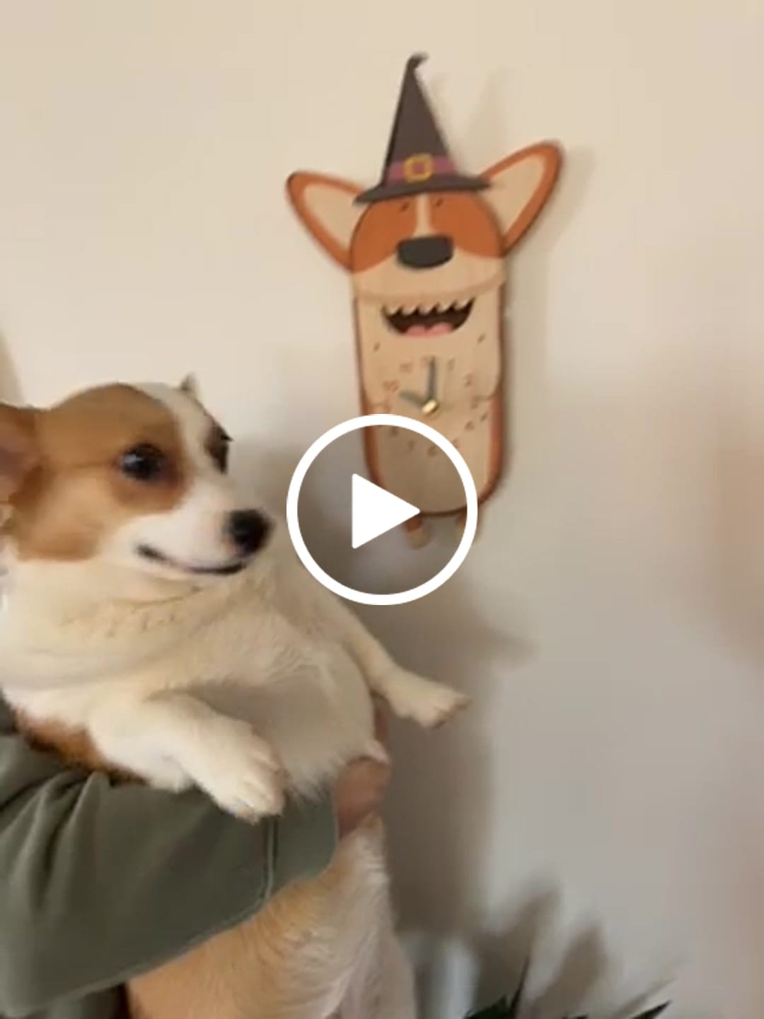 Customer video review of Butters the Corgi Pendulum Clock